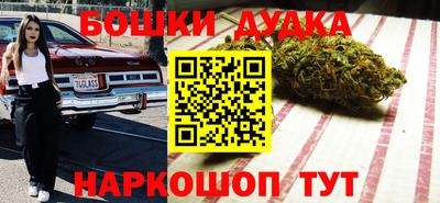 мдпв Кингисепп