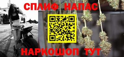 мдпв Кингисепп