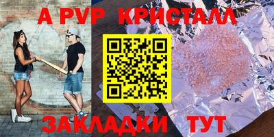 прущие грибы Канаш