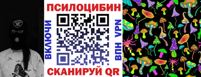 блэк спрут как войти  Луховицы  Псилоцибиновые грибы Psilocybe  цена  
