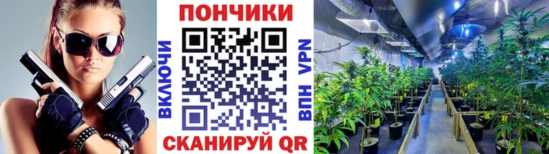 гидра онион  Луховицы  Бошки марихуана SATIVA & INDICA 